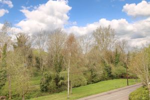 Photo 7- click for photo gallery